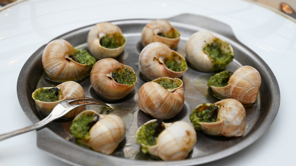 escargots.jpg