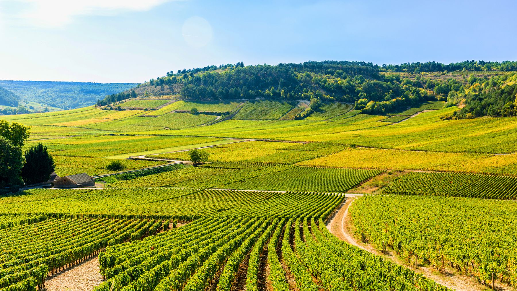 Quel est le climat de la Bourgogne ?